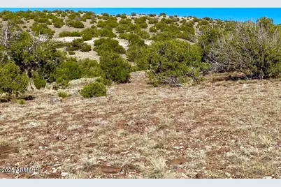 Tbd Co Rd 5062 Lot 1 3.53 Acres -- #-, Concho, AZ 85924 - Photo 12