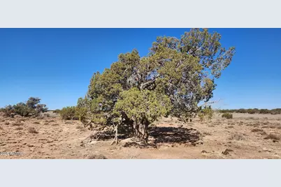 5137 Encanto Road #-, Snowflake, AZ 85937 - Photo 4