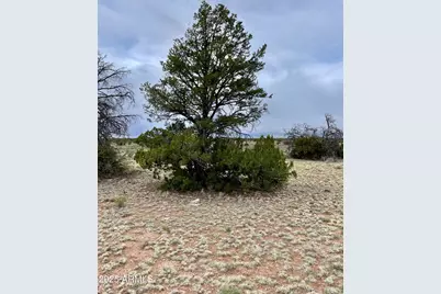 3998 Red Butte Road #161, Williams, AZ 86046 - Photo 16