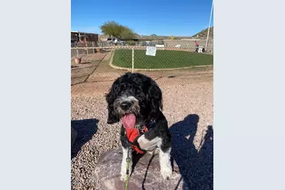 650 N Hawes Road #4123, Mesa, AZ 85207 - Photo 50