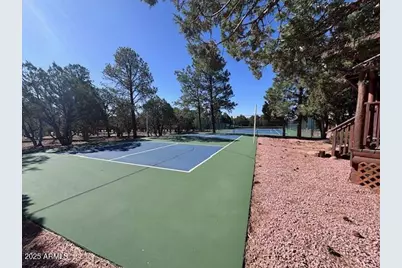 2806 Skyhawk Drive, Overgaard, AZ 85933 - Photo 46