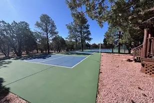 2806 Sky Hawk Dr, Overgaard, AZ 85933 - Photo 46