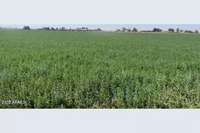 0004 E Beloat -- #X, Buckeye, AZ 85326 - Photo 6