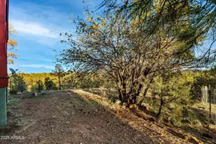 2901 Ridge Cir, Overgaard, AZ 85933 - Photo 30