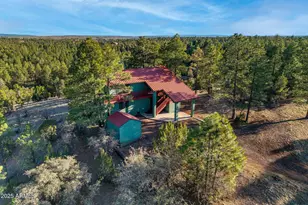 2901 Ridge Cir, Overgaard, AZ 85933 - Photo 42