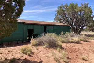 22 County Rd N9151, Concho, AZ 85924 - Photo 16