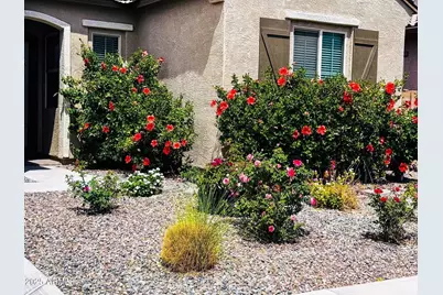2516 E Kingbird Drive, Gilbert, AZ 85297 - Photo 1