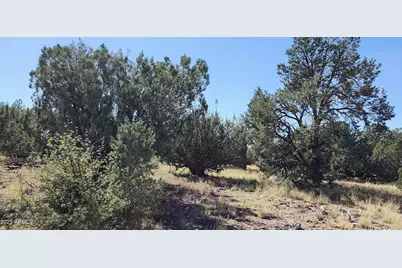 8641 N High Mountain Road #-, Peach Springs, AZ 86434 - Photo 14