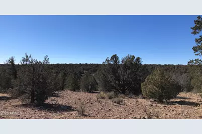 8711 N High Mountain Road #-, Peach Springs, AZ 86434 - Photo 10