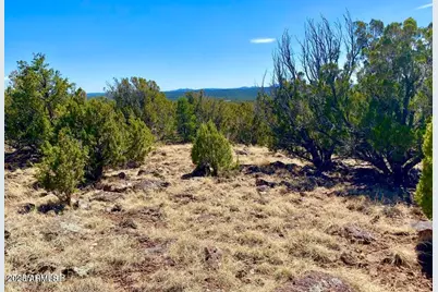 74 County Road 8056 -- #152, Concho, AZ 85924 - Photo 16