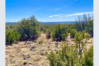 74 County Road 8056 -- #152, Concho, AZ 85924 - Photo 4
