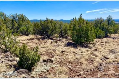 74 County Road 8056 -- #152, Concho, AZ 85924 - Photo 10