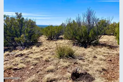 74 County Road 8056 -- #152, Concho, AZ 85924 - Photo 14