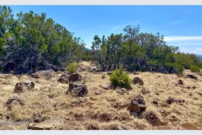 74 County Road 8056 -- #152, Concho, AZ 85924 - Photo 8