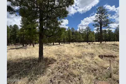 Lot 1 Hattie Greene -- #1, Flagstaff, AZ 86001 - Photo 8