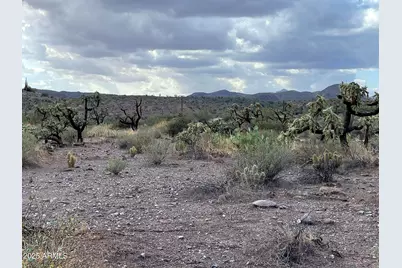 00 N Elephant Butte Road #E, Queen Valley, AZ 85118 - Photo 2