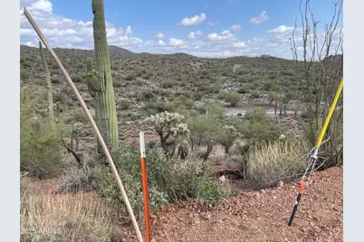 010 N Elephant Butte Road #-, Queen Valley, AZ 85118 - Photo 2
