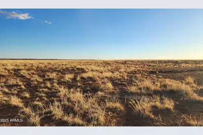 159 County Rd N9303 -- #-, Concho, AZ 85924 - Photo 8