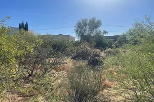 6061 S Alameda Rd, Gold Canyon, AZ 85118 - Photo 1