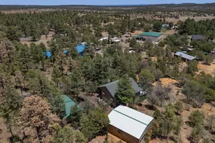 5449 Herd St, Pinedale, AZ 85934 - Photo 24