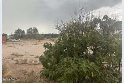4256 W Gleeson Road, Elfrida, AZ 85610 - Photo 16