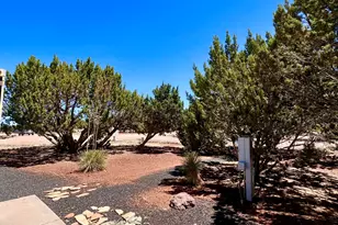 28 County Rd 3203 --, Vernon, AZ 85940 - Photo 6