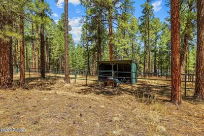 61 County Road 2266 --, Alpine, AZ 85920 - Photo 44
