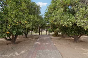 21131 E Excelsior Ave, Queen Creek, AZ 85142 - Photo 50