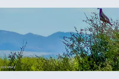 Tbd S Solar Run 39 Acres -- #-, Willcox, AZ 85643 - Photo 2