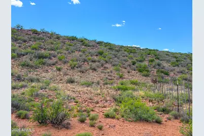 Tbd S Solar Run 39 Acres -- #-, Willcox, AZ 85643 - Photo 12