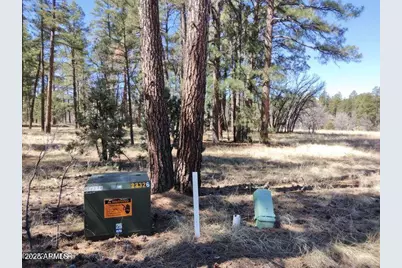 2540 W Pinegrass Road, Show Low, AZ 85901 - Photo 6