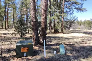 2540 W Pinegrass Rd, Show Low, AZ 85901 - Photo 6