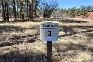 2540 W Pinegrass Rd, Show Low, AZ 85901 - Photo 8