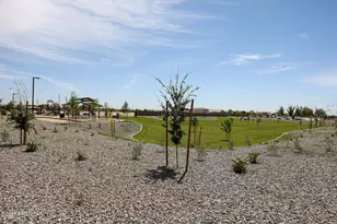 315 W Flax Dr, San Tan Valley, AZ 85140 - Photo 22