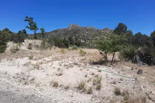 52116 N Hutton Peak Rd, Miami, AZ 85539 - Photo 20