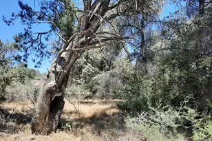 52116 N Hutton Peak Rd, Miami, AZ 85539 - Photo 14