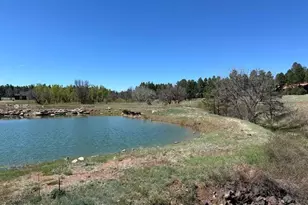 1301 S Lakeside Trl, Show Low, AZ 85901 - Photo 4