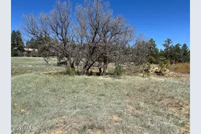 1301 S Lakeside Trail, Show Low, AZ 85901 - Photo 2