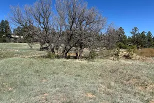 1301 S Lakeside Trl, Show Low, AZ 85901 - Photo 2