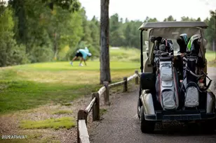 1301 S Lakeside Trl, Show Low, AZ 85901 - Photo 16