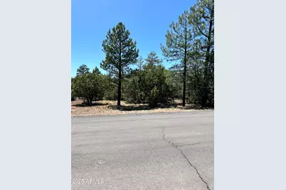 5454 Gray Wolf Drive #53, Lakeside, AZ 85929 - Photo 1