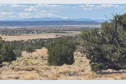 Lot 753 Woodland Valley Ranch -- #753, Saint Johns, AZ 85936 - Photo 2