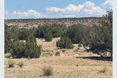 Lot 753 Woodland Valley Ranch -- #753, Saint Johns, AZ 85936 - Photo 6
