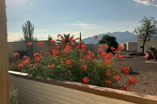 1172 W Mountain View, Green Valley, AZ 85622 - Photo 18