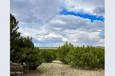 Tbd County Rd N3440 -- #42, Concho, AZ 85924 - Photo 2