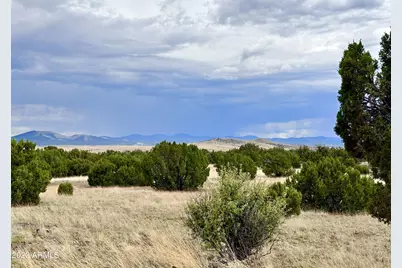 Tbd County Rd N3440 -- #42, Concho, AZ 85924 - Photo 4
