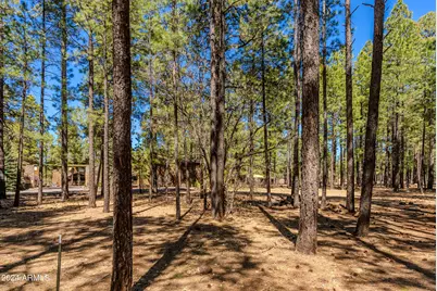 4571 Sky Hi Road #-, Pinetop, AZ 85935 - Photo 22