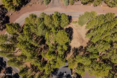 4571 Sky Hi Road #-, Pinetop, AZ 85935 - Photo 8