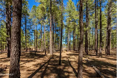 4583 Sky Hi Road #-, Pinetop, AZ 85935 - Photo 2