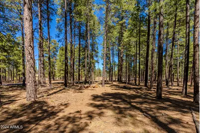 4583 Sky Hi Road #-, Pinetop, AZ 85935 - Photo 24